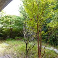 福岡市南区桧原の売買物件/花やテーブルを置けば、庭先が第二のリビングに。