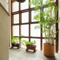 福岡市中央区舞鶴の賃貸物件/何度も見せたくなる共用部