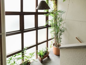 福岡市中央区舞鶴の賃貸物件/静光の窓景