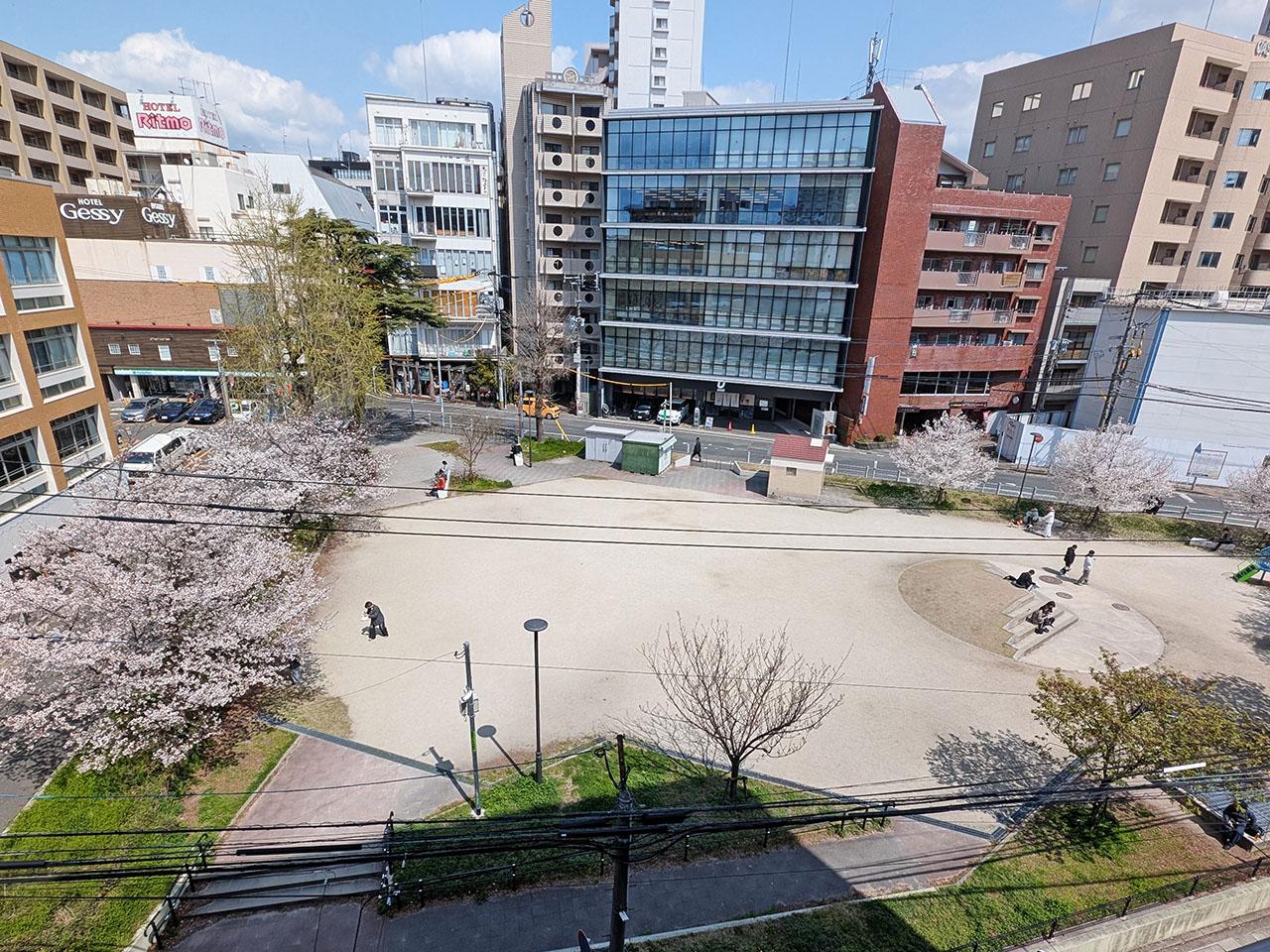 福岡市中央区今泉の賃貸物件/桜の季節にはこんな光景が。桜を上から眺めるのも粋ですな。