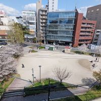 福岡市中央区今泉の賃貸物件/桜の季節にはこんな光景が。桜を上から眺めるのも粋ですな。
