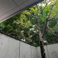 福岡市城南区田島の賃貸物件/シンボルツリーに癒されて。