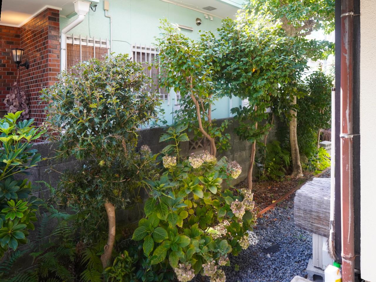 福岡市城南区田島の売買物件/植栽もこまめに定期的に整えているんだそう。