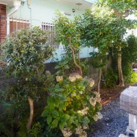 福岡市城南区田島の売買物件/植栽もこまめに定期的に整えているんだそう。