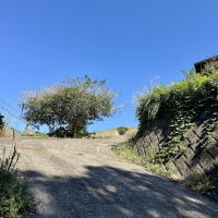 福岡県糸島市志摩芥屋の売買物件/なかなかの勾配です