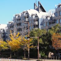 福岡市早良区西新の賃貸物件/よかトピア通りに通るたびに気になる存在感。