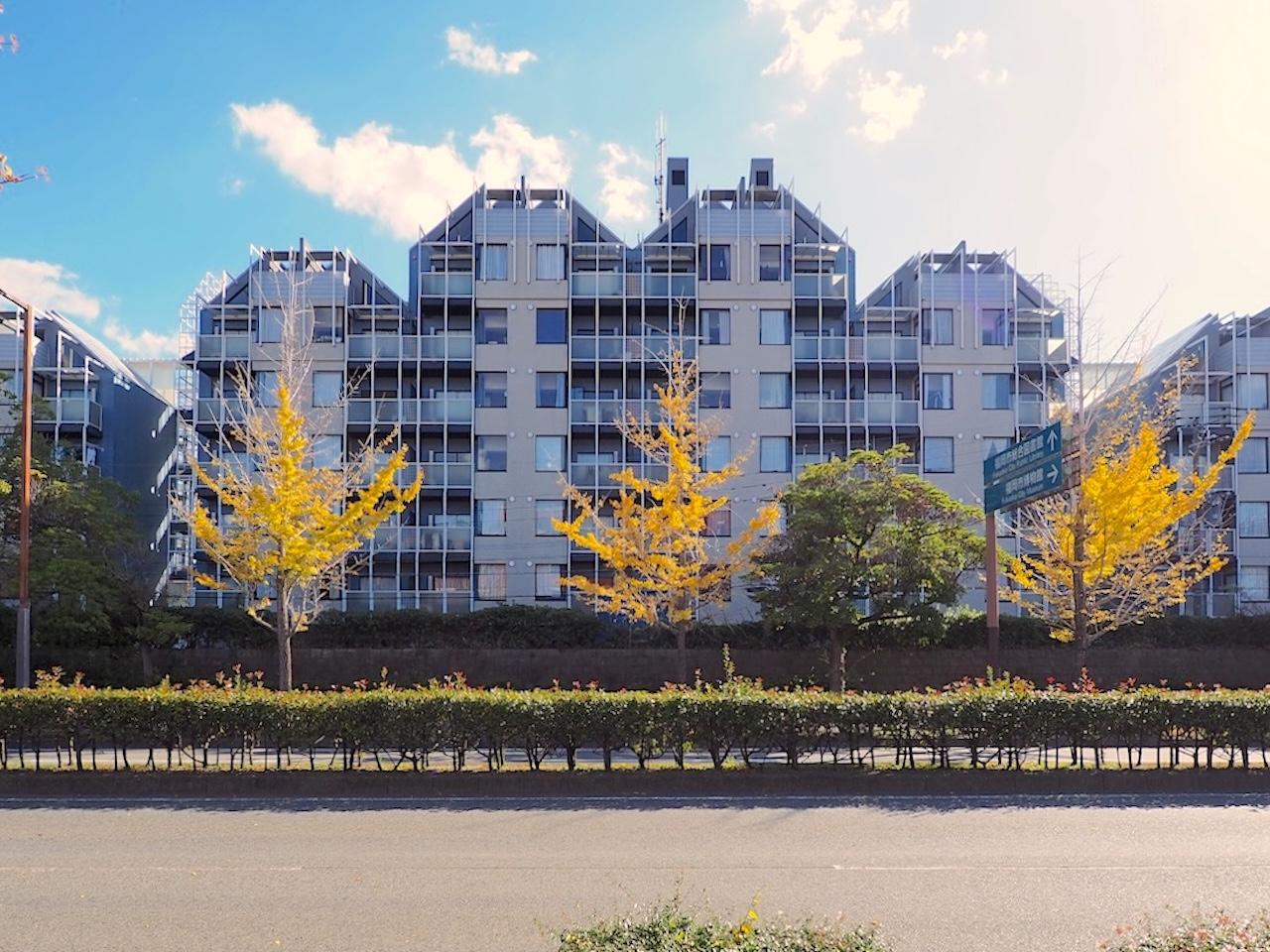 福岡市早良区西新の賃貸物件/幾何学的な造形美。