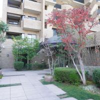 福岡市中央区荒戸の賃貸物件/今の季節は、もみじがきれいに紅葉していました。