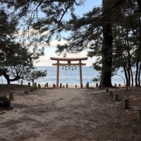 福岡市西区生の松原の売買物件