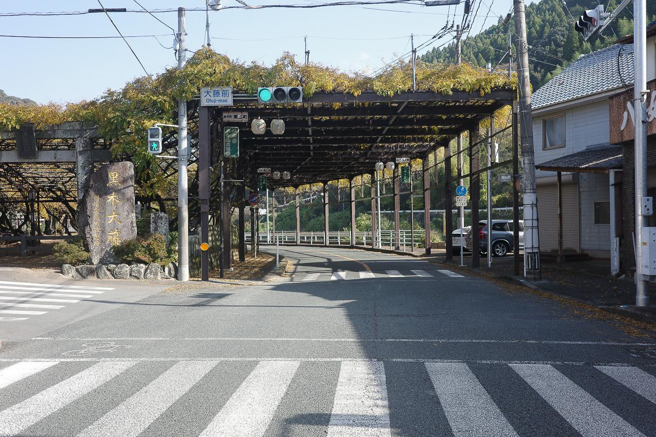 八女市黒木町黒木字上黒木の売買物件/藤の季節が楽しみ