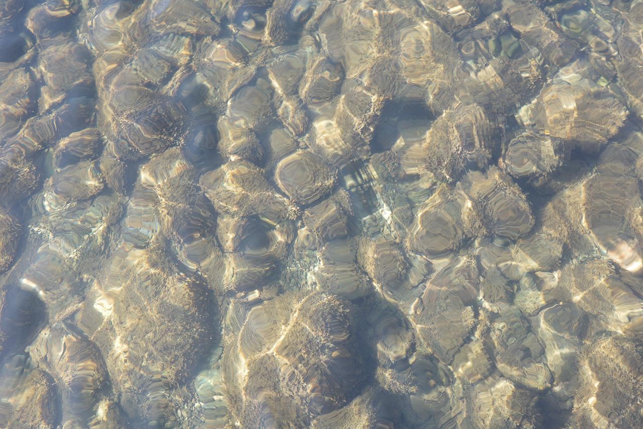 八女市黒木町黒木字上黒木の売買物件/川底まで見える、澄んだ水。