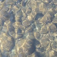 八女市黒木町黒木字上黒木の売買物件/川底まで見える、澄んだ水。