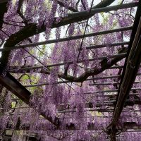 八女市黒木町黒木字上黒木の売買物件/こんな光景が広がります。