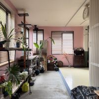 福岡県筑紫野市美しが丘南の売買物件/玄関土間が広く機能性も高いです