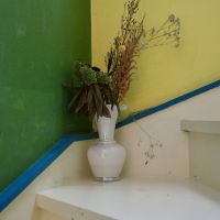 福岡県筑紫野市美しが丘南の売買物件/お気に入りのワンカット