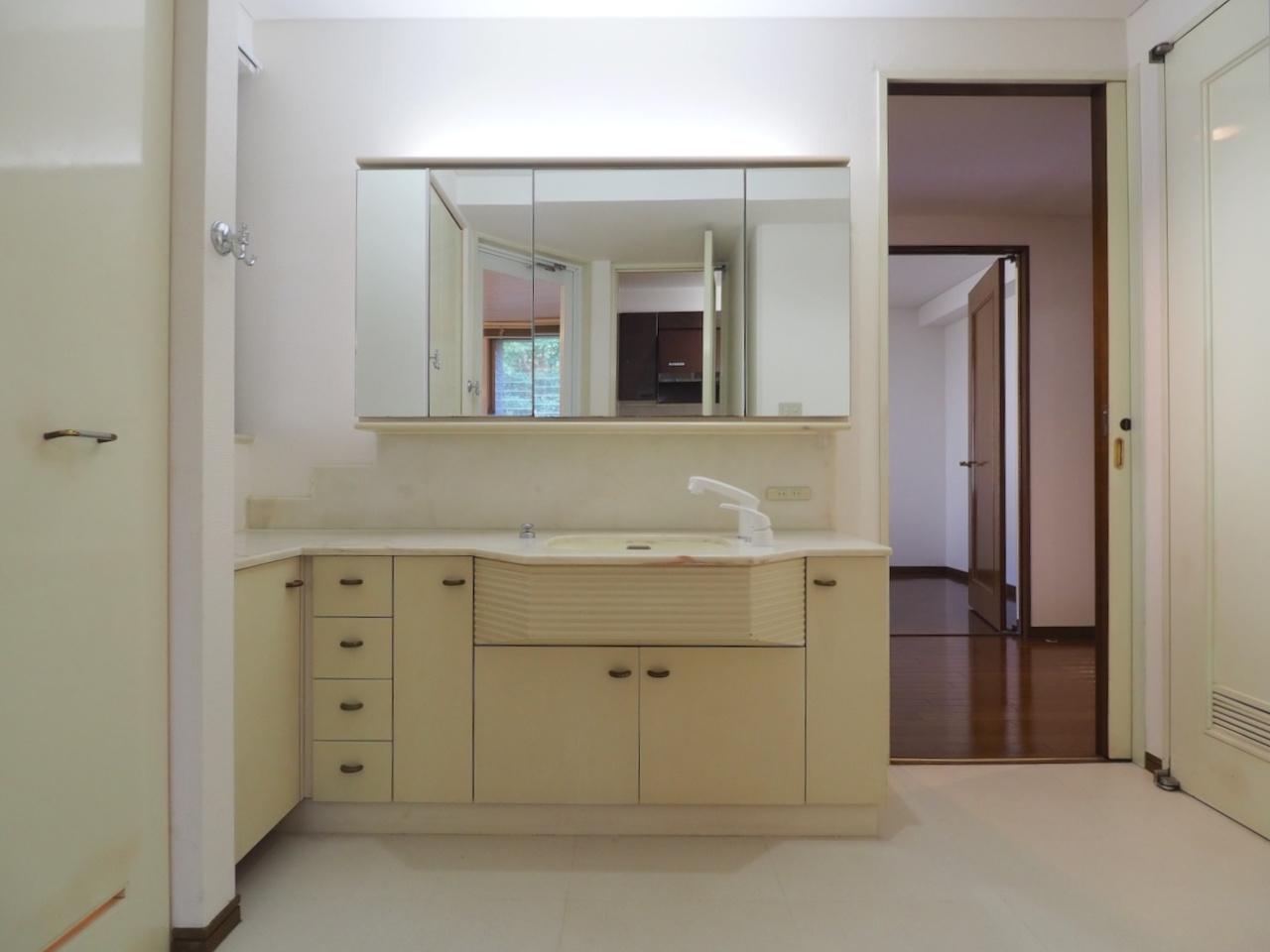 福岡市中央区平尾浄水町の賃貸物件/広々した独立洗面台。