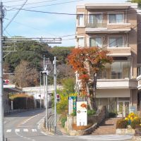 福岡市中央区平尾浄水町の賃貸物件/この環境。