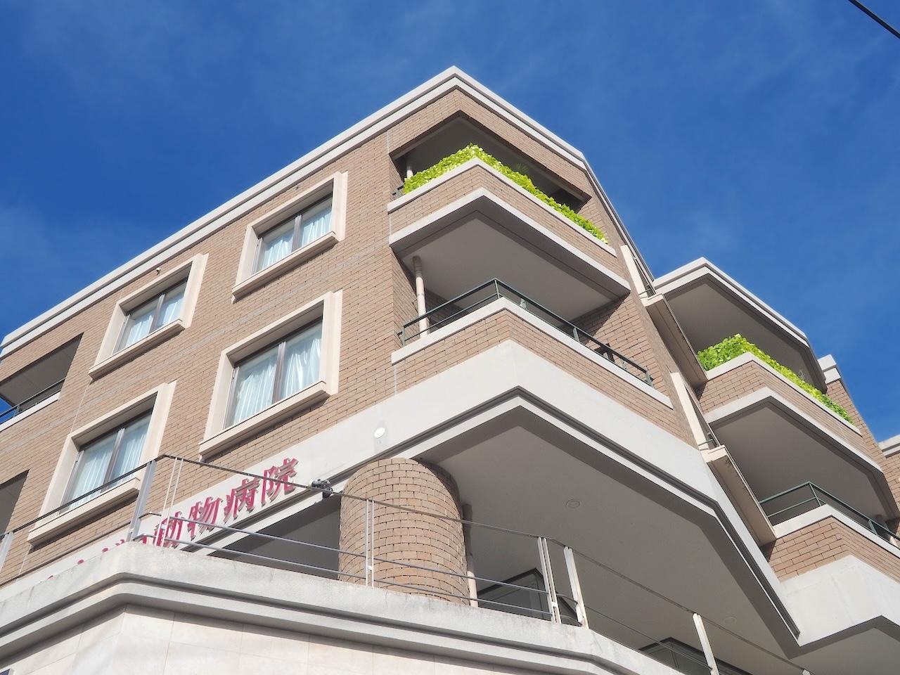 福岡市中央区平尾浄水町の賃貸物件/なんだか気になる存在。
