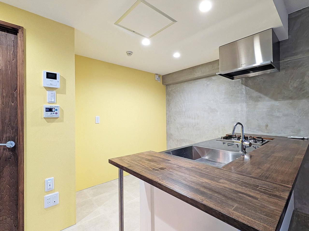 福岡市南区向野の賃貸物件/カウンターが広めのキッチンです。チェアを置いてそのままここで食事もOK。