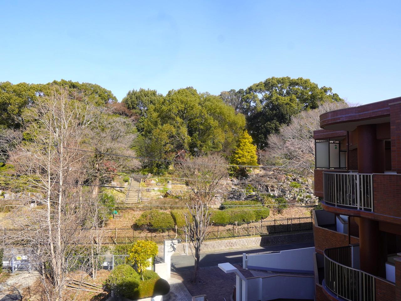 福岡市中央区小笹の売買物件/逆側のバルコニーからの景色。植物園の緑がこんもり。