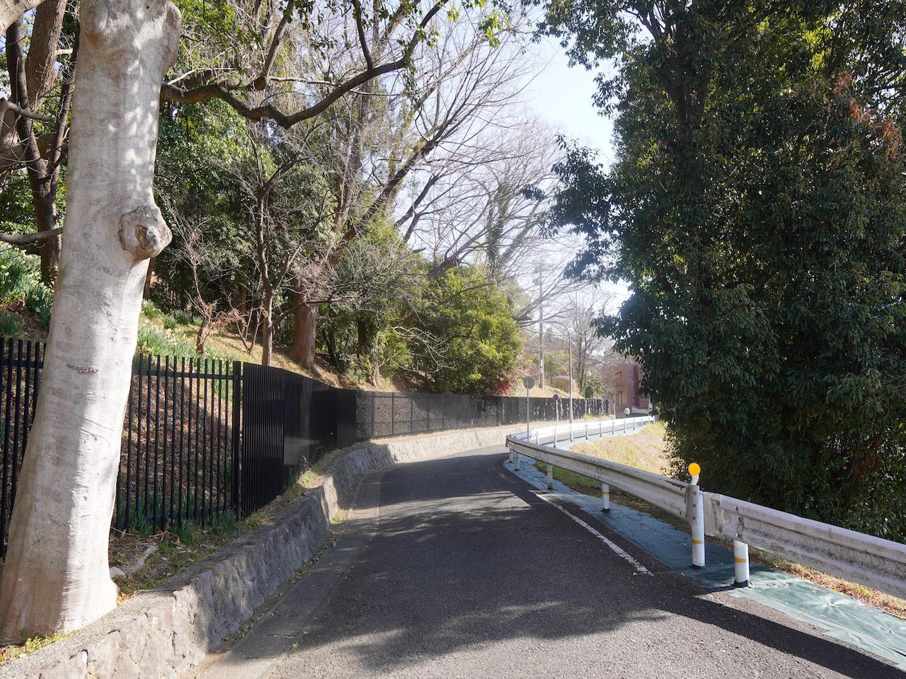 福岡市中央区小笹の売買物件/道路の向かいが、植物園。なかなかない立地です。