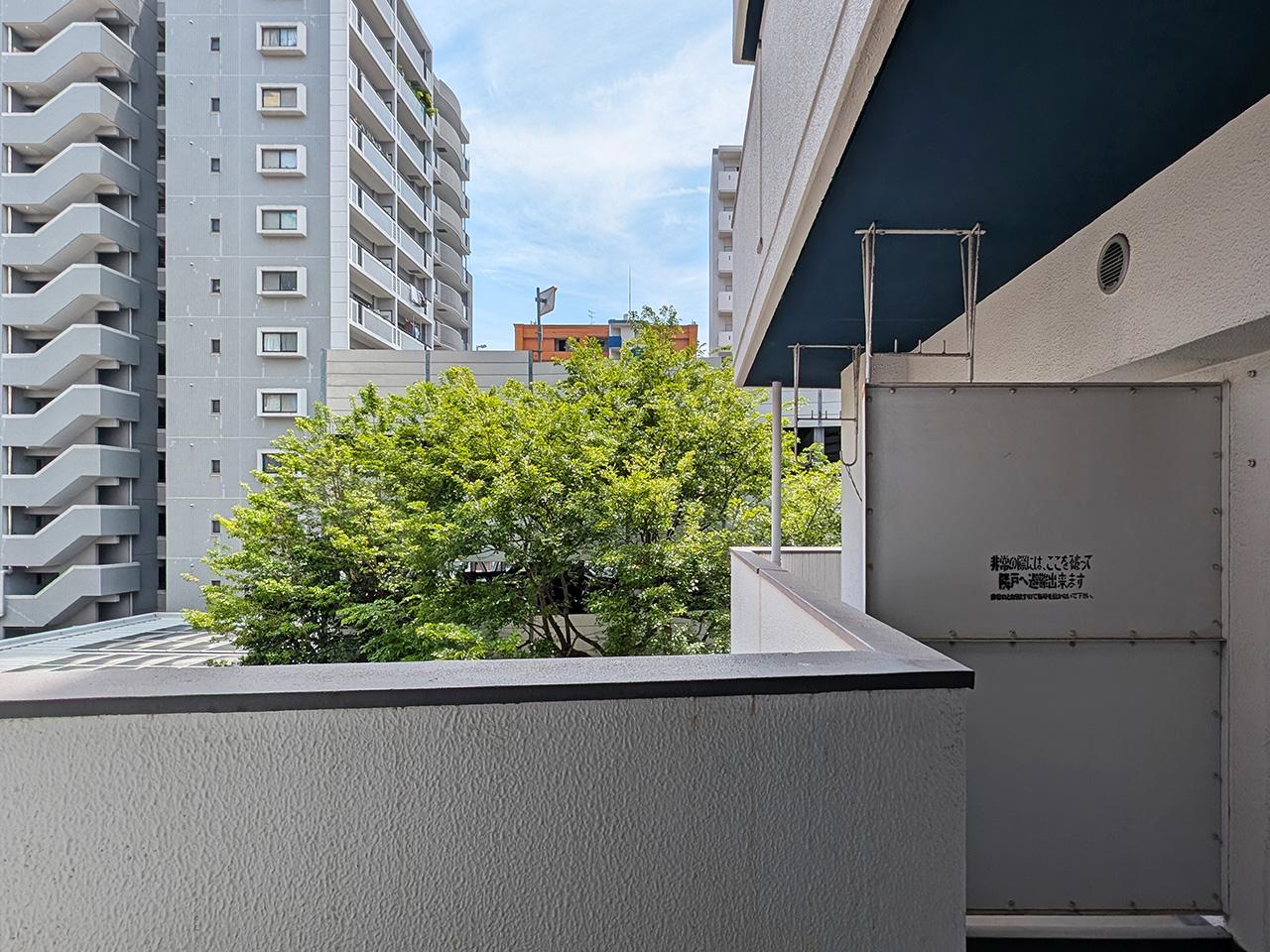 福岡市中央区清川の賃貸物件/参考までに、春に撮影した1つ上の階のお部屋からの風景。緑がよく生い茂っています。