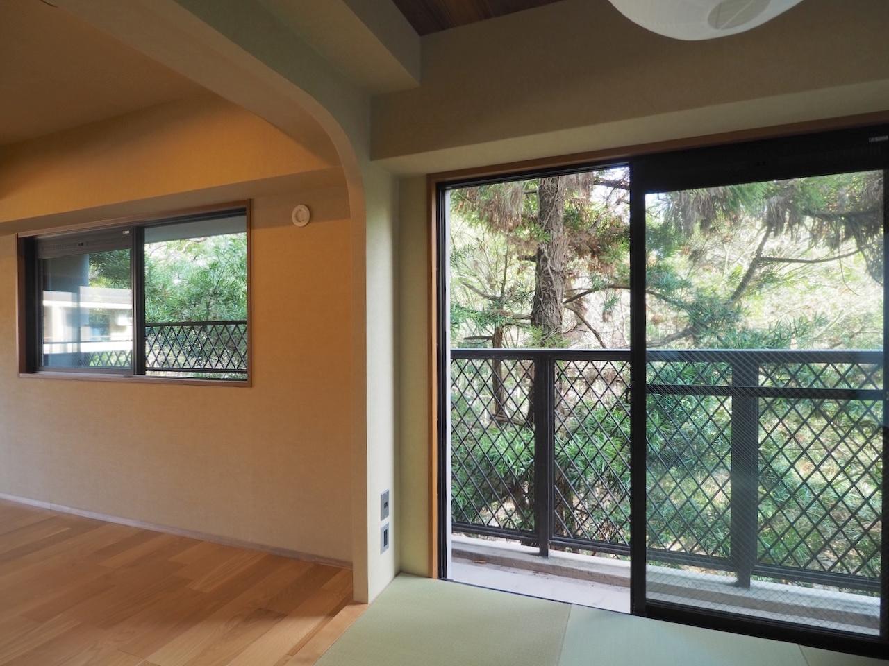 福岡市中央区赤坂の売買物件/窓からは押し寄せるほどの緑。