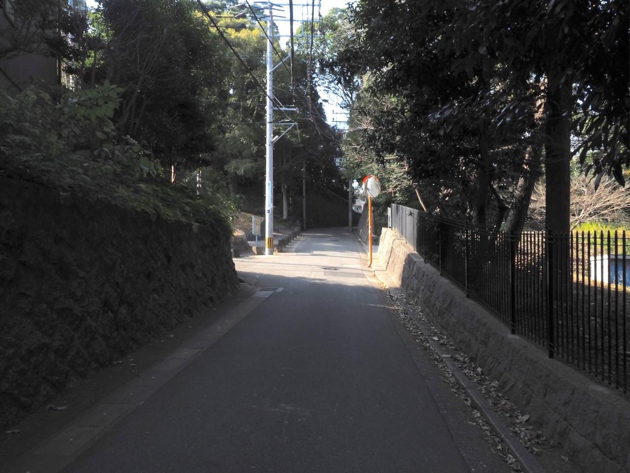 福岡市中央区赤坂の売買物件/都会の森に迷い込んだ錯覚に陥ります。