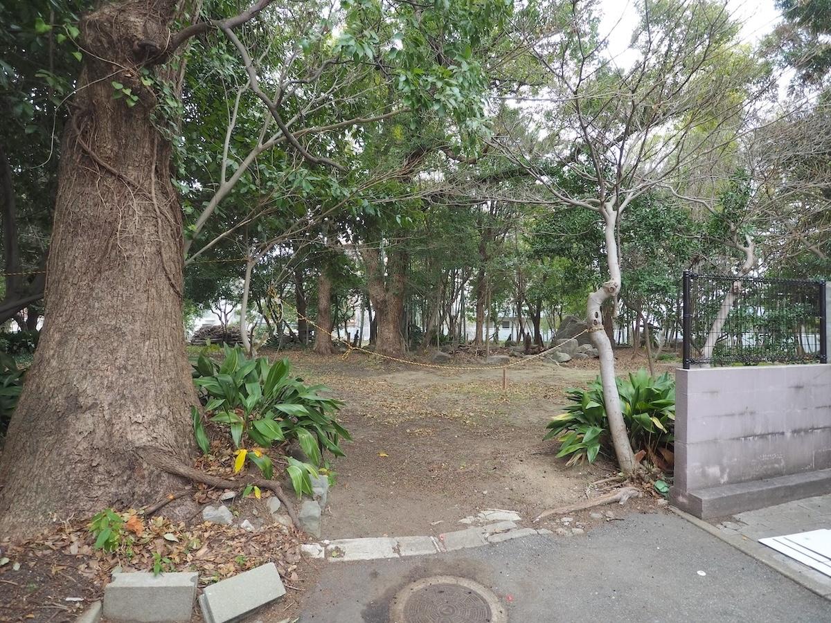 福岡市中央区赤坂の売買物件/敷地横の緑地。