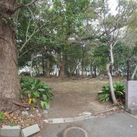 福岡市中央区赤坂の売買物件/敷地横の緑地。