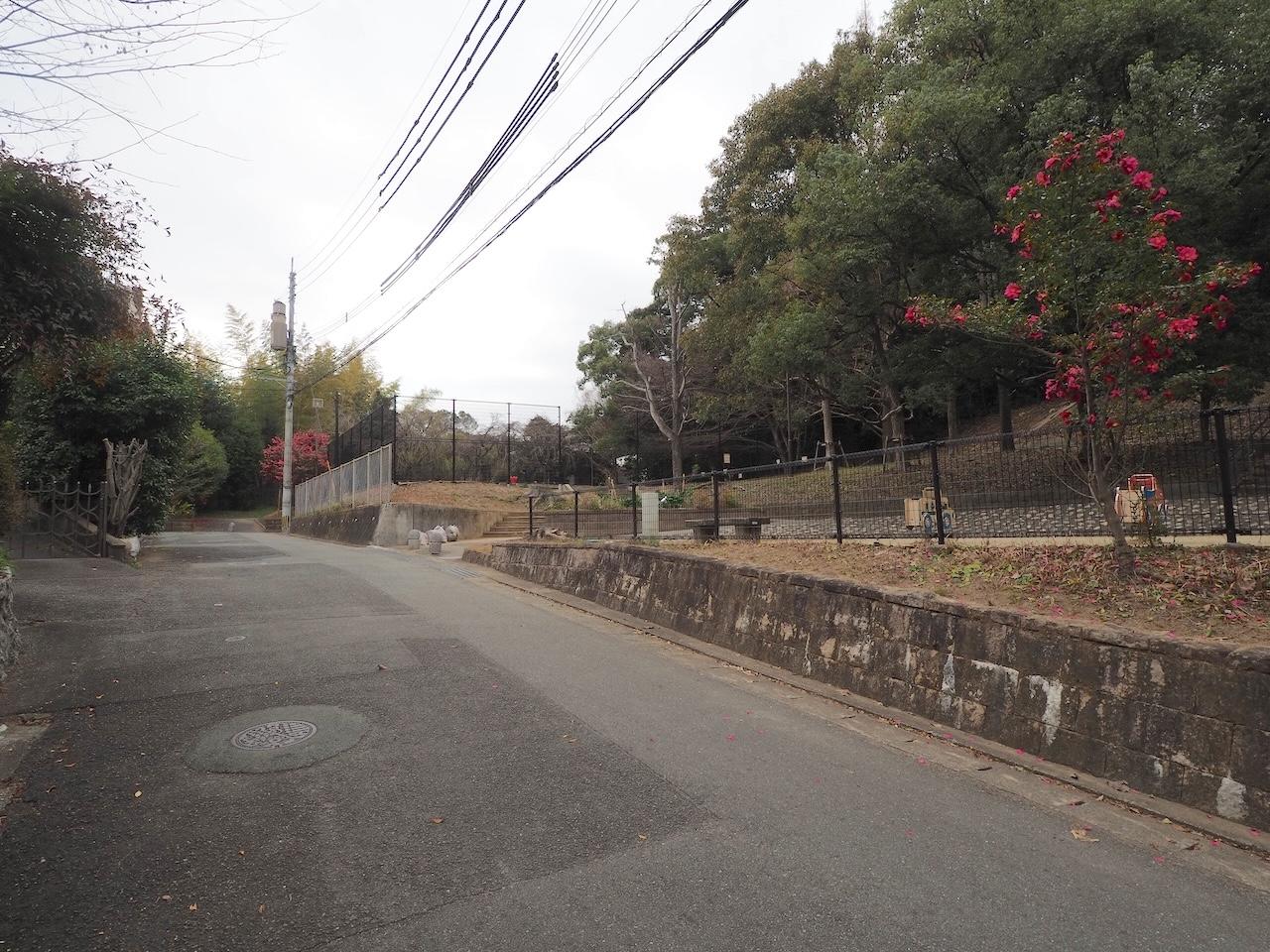 福岡市中央区赤坂の売買物件/敷地に向かう道にある公園。自然にあふれた環境です。