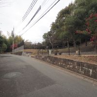 福岡市中央区赤坂の売買物件/敷地に向かう道にある公園。自然にあふれた環境です。
