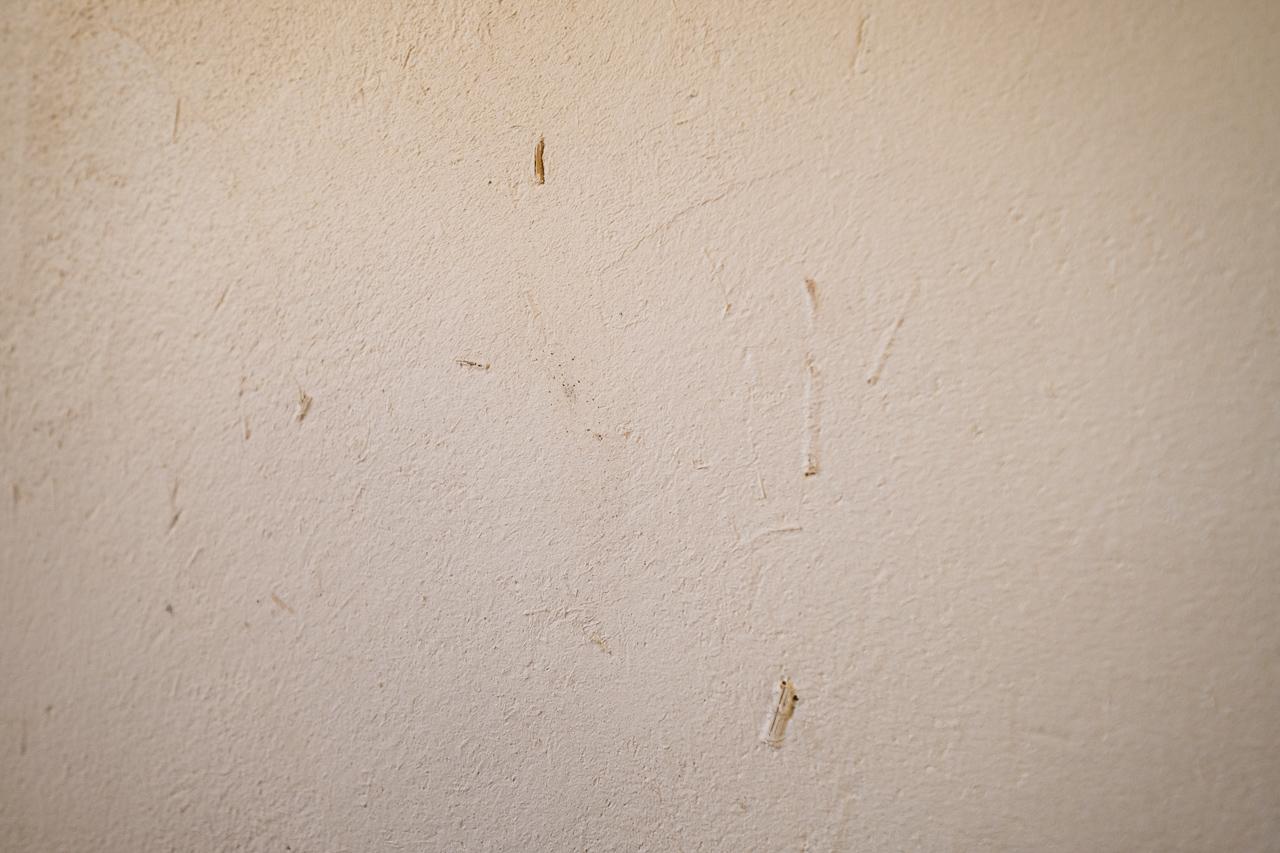 大分県日田市大字田島の売買物件/リビングと和室は、藁を混ぜた日田土入りの漆喰。
やわらかく、くつろげる雰囲気に。