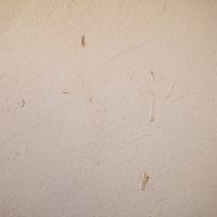 大分県日田市大字田島の売買物件/リビングと和室は、藁を混ぜた日田土入りの漆喰。
やわらかく、くつろげる雰囲気に。