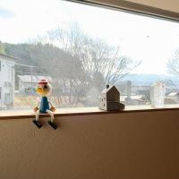 大分県日田市大字田島の売買物件/和室の窓から。