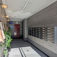 福岡市南区清水の賃貸物件/グリーンが飾られたエントランス。