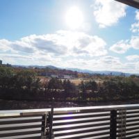 福岡市中央区大手門の賃貸物件/陸上競技場が