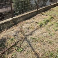 福岡市南区皿山の賃貸物件/家庭菜園もウェルカムだそうですよ。