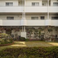 福岡市中央区浄水通の売買物件/中庭もなんだか空気がゆっくり流れている気がします。