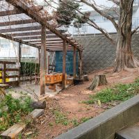 福岡市中央区小笹の賃貸物件/敷地内には大家さん手づくりのブランコのあるウッドデッキや小さな花壇があります。