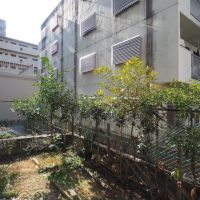 福岡市南区向野の売買物件/外からの視線はあります。どうせなら、自慢の庭を作ってしまいましょう。