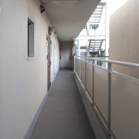 福岡市南区向野の売買物件/共用廊下。