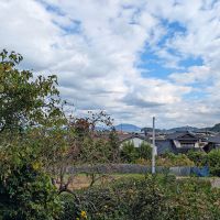 糸島市二丈吉井の売買物件/のどかな風景。