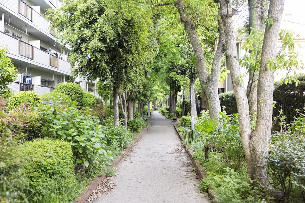 北九州市小倉北区大手町の売買物件/マンション裏側の緑道。昔は線路が通っていたとか。