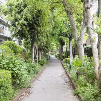 北九州市小倉北区大手町の売買物件/マンション裏側の緑道。昔は線路が通っていたとか。