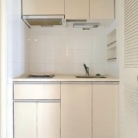 福岡市中央区大濠公園 の賃貸物件/キッチンはコンパクトでIHで一口と最小限。