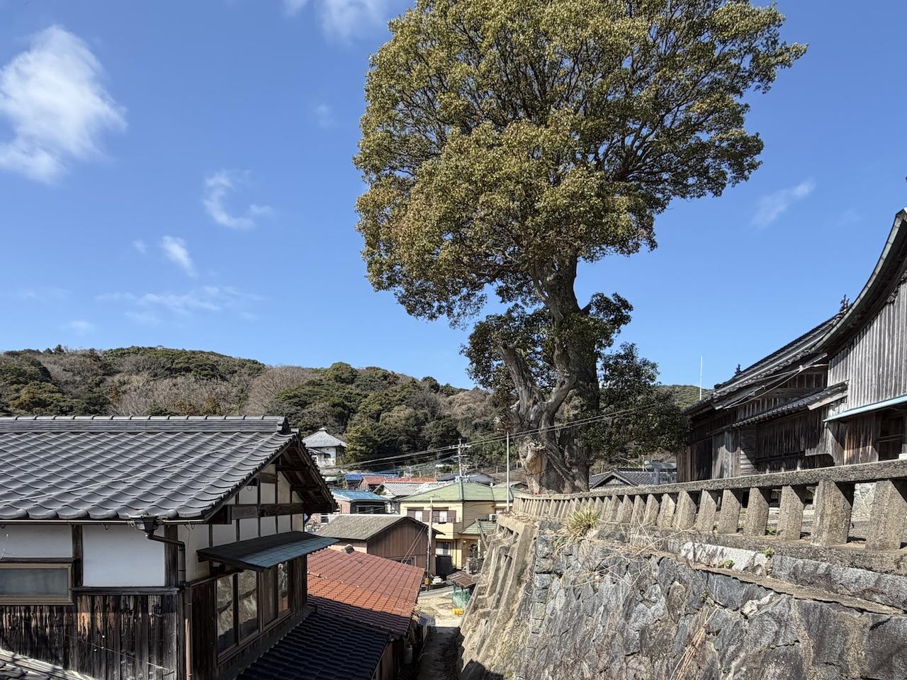 福岡市西区大字宮浦の賃貸物件/2階洋室からは、御神木ビュー。これは毎日拝みたい。