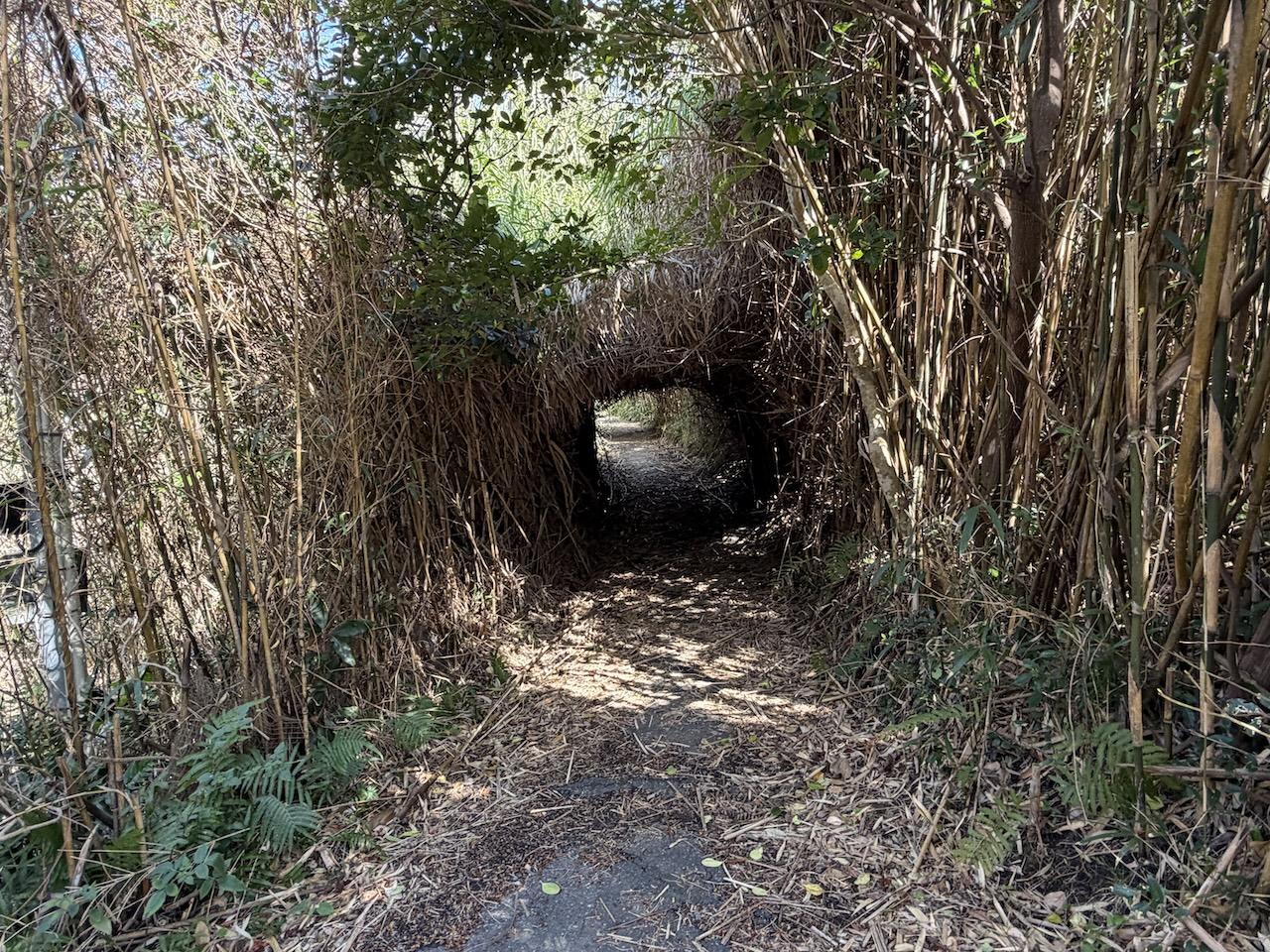 福岡市西区大字宮浦の賃貸物件/通り抜けるのを迷いたくなるトンネル。ここを抜けると・・。