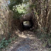 福岡市西区大字宮浦の賃貸物件/通り抜けるのを迷いたくなるトンネル。ここを抜けると・・。