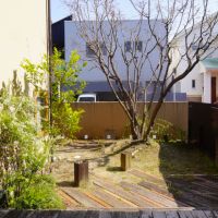 福岡市中央区福浜の売買物件/庭先には、ヤマザクラの大きな木も植えられています。